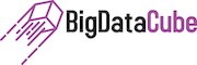 BigDataCube logo